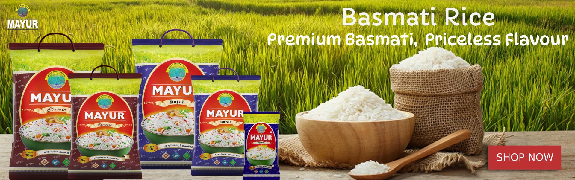 Basmati Rice